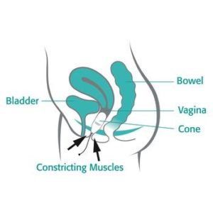 Read more about the article How to use vaginal weights for a stronger pelvic floor?